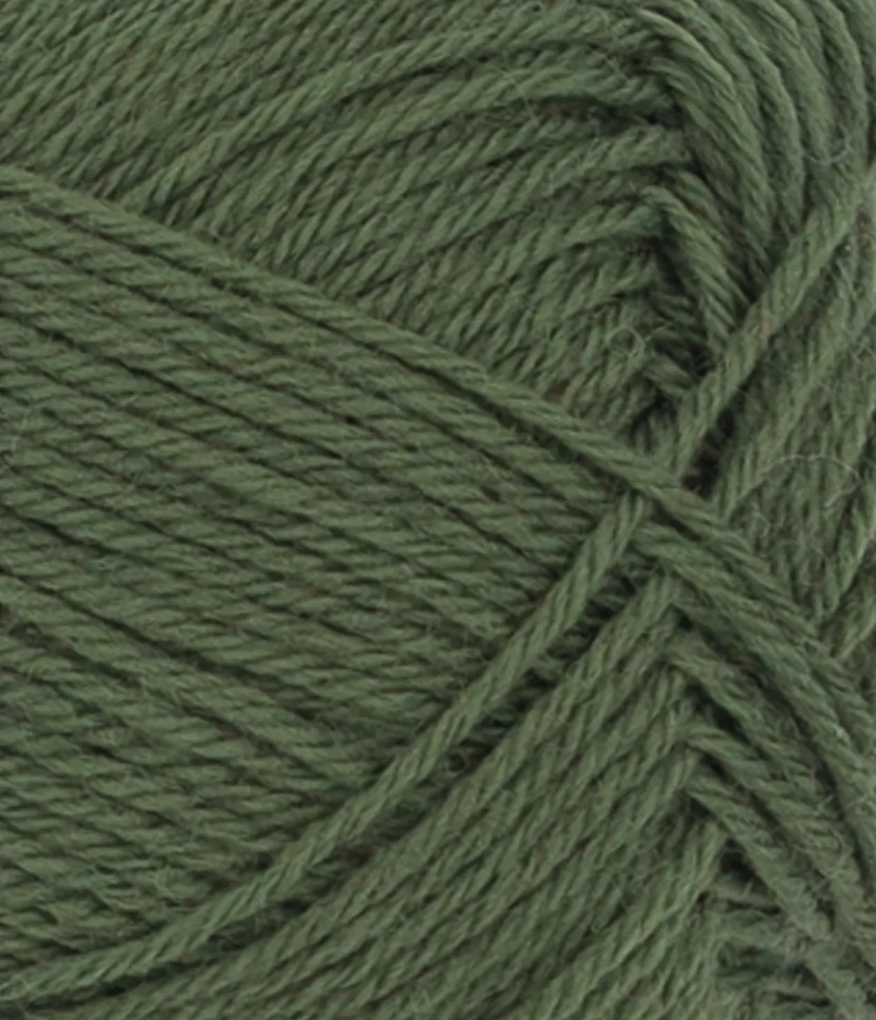 Samblaroheline - 9573